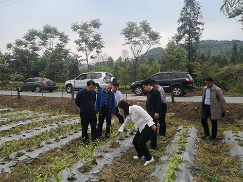 色情直播网站,长沙杀虫剂,长沙光气衍生物,长沙氨基酸保护剂,长沙锂离子电池材料 色情直播网站,长沙杀虫剂,长沙光气衍生物,长沙氨基酸保护剂,长沙锂离子电池材料