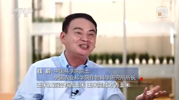 色情直播网站,长沙杀虫剂,长沙光气衍生物,长沙氨基酸保护剂,长沙锂离子电池材料