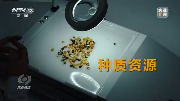 色情直播网站,长沙杀虫剂,长沙光气衍生物,长沙氨基酸保护剂,长沙锂离子电池材料