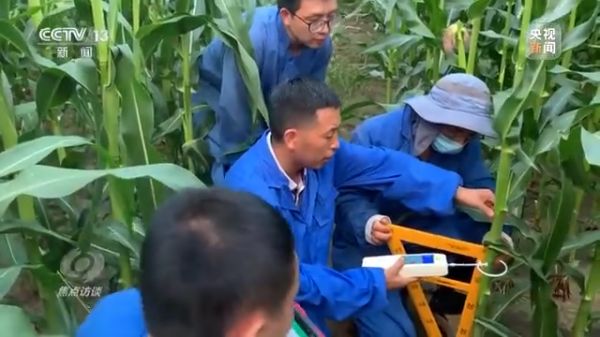 色情直播网站,长沙杀虫剂,长沙光气衍生物,长沙氨基酸保护剂,长沙锂离子电池材料
