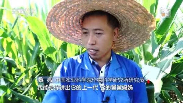 色情直播网站,长沙杀虫剂,长沙光气衍生物,长沙氨基酸保护剂,长沙锂离子电池材料