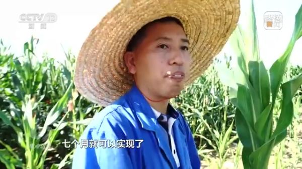 色情直播网站,长沙杀虫剂,长沙光气衍生物,长沙氨基酸保护剂,长沙锂离子电池材料