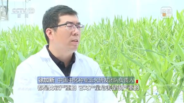 色情直播网站,长沙杀虫剂,长沙光气衍生物,长沙氨基酸保护剂,长沙锂离子电池材料