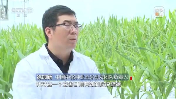 色情直播网站,长沙杀虫剂,长沙光气衍生物,长沙氨基酸保护剂,长沙锂离子电池材料