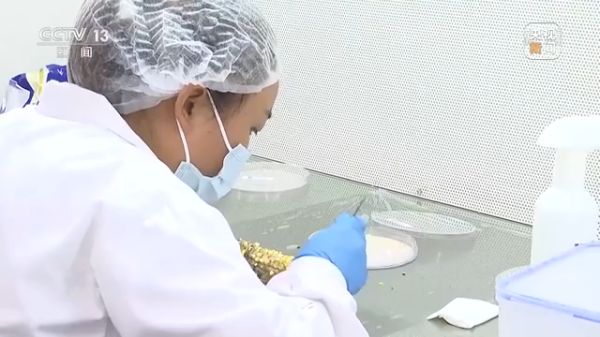 色情直播网站,长沙杀虫剂,长沙光气衍生物,长沙氨基酸保护剂,长沙锂离子电池材料