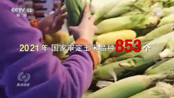 色情直播网站,长沙杀虫剂,长沙光气衍生物,长沙氨基酸保护剂,长沙锂离子电池材料
